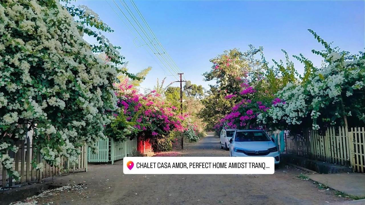 Chalet Casa Amor, Perfect Home Amidst Tranquility カルジャット エクステリア 写真